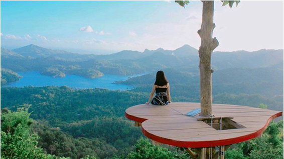 Kali Biru, Pantai Glagah Indah,  Hutan Mangrove Kulon Progo